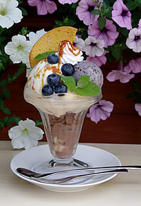 �L���������u���[�x���[�p�t�F