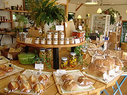 �J�t�F�E�_�m�j�[�X��