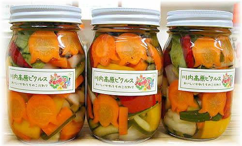 ��������s�N���X